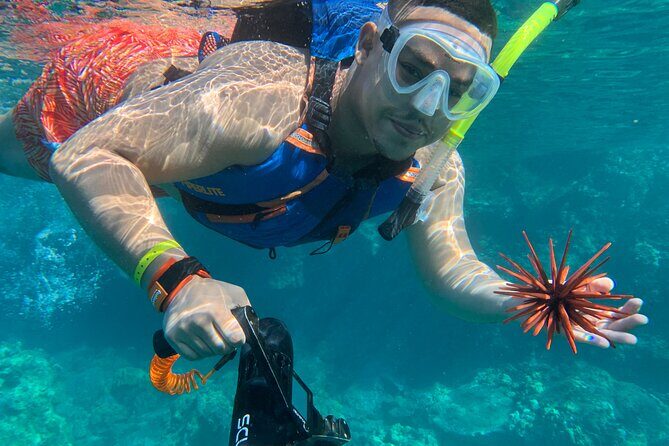 E-Scooter Snorkel With Photo and Video At Turtle Town - Who Is This Tour Best For?