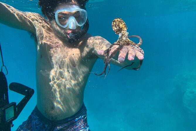 E-Scooter Snorkel With Photo and Video At Turtle Town - The Sum Up: Why This Tour Is a Great Choice