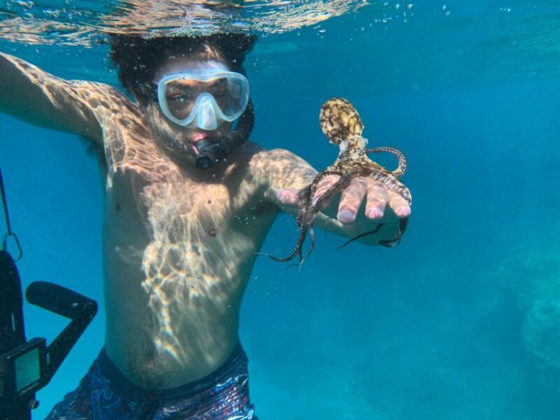 E-Scooter Tour At Turtle Town With Optional Photo and Video - An Inviting Introduction to Maui’s Underwater Marvels