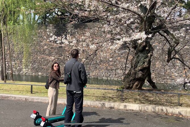 E-scooter Tour with a Private Guide Tokyo - A Deep Dive into the Experience