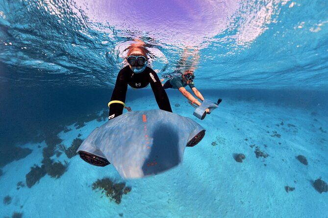 E-Snorkeling tour in Bonaire with easy Sea Scooters - The Itinerary: From Meeting to Marine Marvels