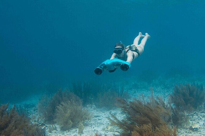 E-Snorkeling tour in Bonaire with easy Sea Scooters - Accessibility and Suitability