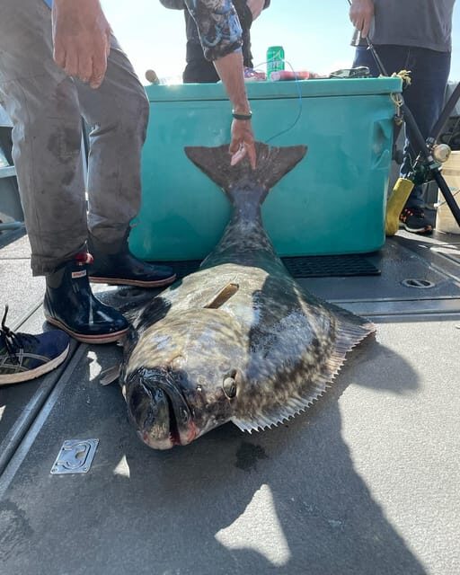 Ear Mountain Charters tours: whale watching or fishing - An In-Depth Look at Ear Mountain Charters