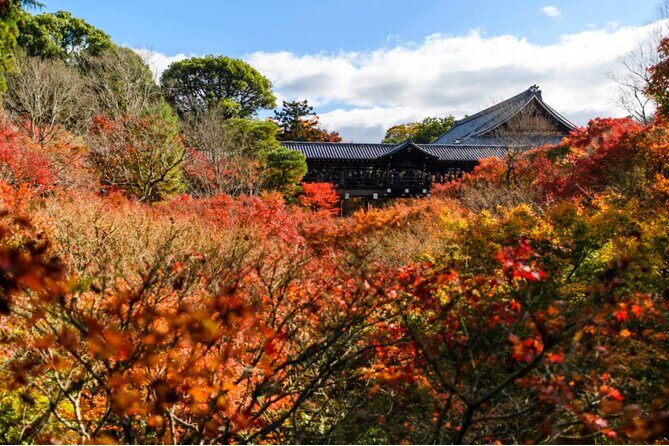 Early Bird E-biking through East Kyoto - FAQ