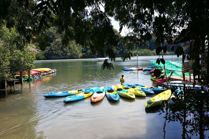 Early bird kayak at AO Thalane - The Sum Up