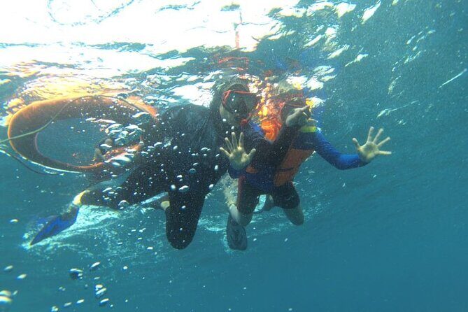 Early Bird Speedboat Group Tour : Explore Komodo Ahead of Crowds - The Sum Up