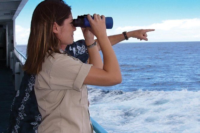 Early Bird Whale Watching Cruise from Waikiki - The Itinerary in Detail