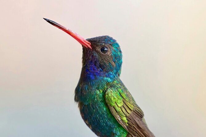 Early Birdwatching Eco City Tour Exper. + 2 Locations & Breakfast - A Closer Look at the Experience