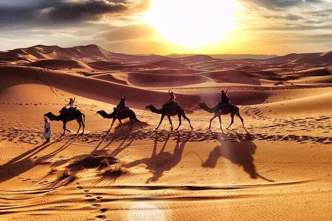 Early Morning Desert Safari With Camel Trekking Experience - Frequently Asked Questions