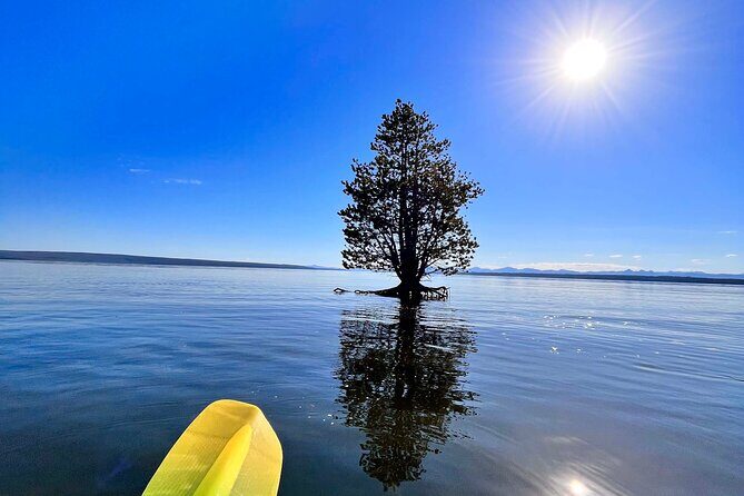 Early Morning Guided Kayak Tour - The Sum Up