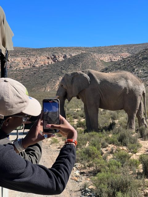 Early Morning Safari Big Five Experience Near Cape Town, SA - The Food and Refreshments