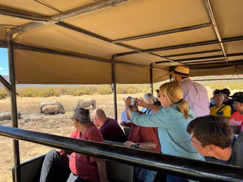 Early Morning Safari Big Five Experience Near Cape Town, SA - Who Would Love This Tour?