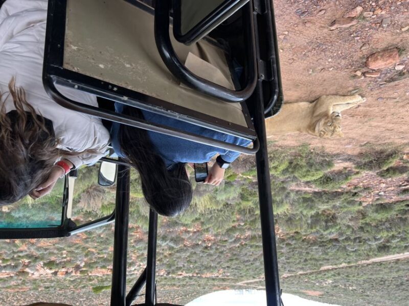 Early Morning Safari Big Five Experience Near Cape Town, SA - FAQ