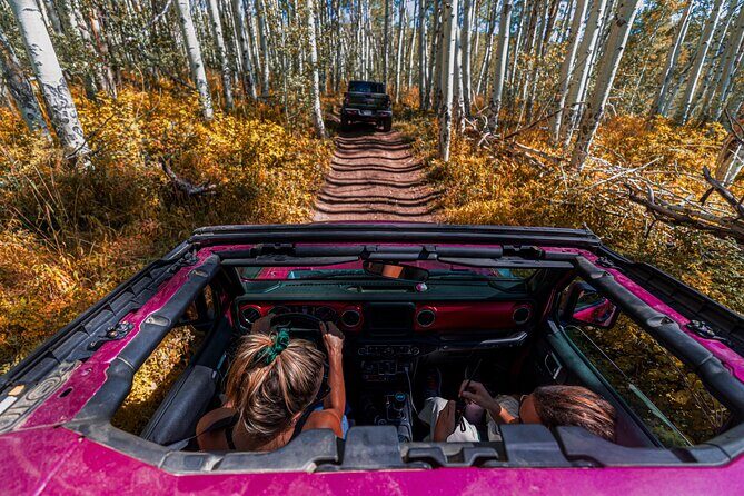 Early Season Special: Scenic Jeep Tour - A Close Look at the Scenic Jeep Tour