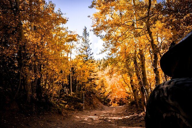 Early Season Special: Scenic Jeep Tour - Who Will Love This Tour?