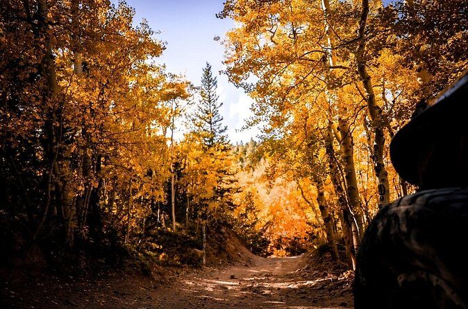 Early Season Special: Scenic Jeep Tour - FAQ