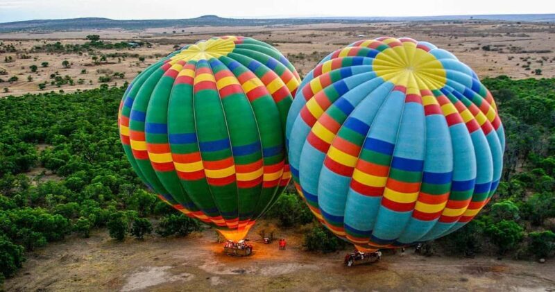 East Africa: Gorilla Trekking, Safaris, and Honeymoon - Gorilla Trekking: A Once-in-a-Lifetime Opportunity