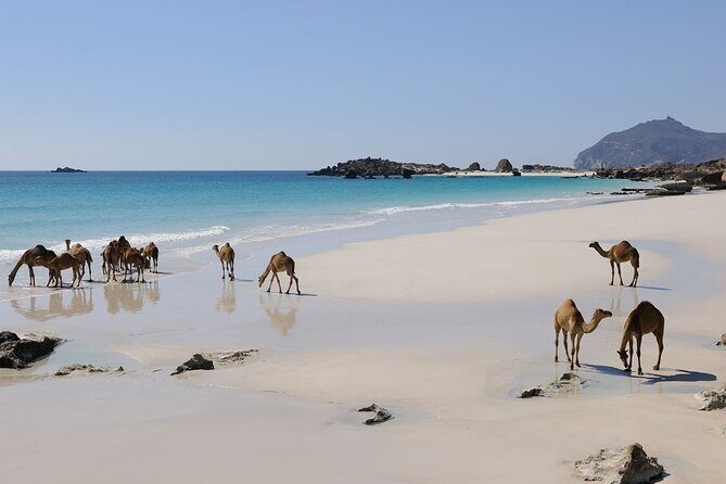 East and West Salalah Combination Private Full-day Tour - Frequently Asked Questions