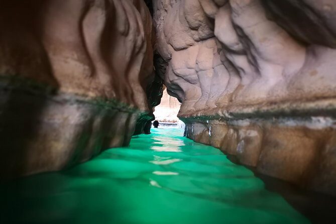 East Coast and Wadi Shab tour - An In-Depth Look at the East Coast and Wadi Shab Tour