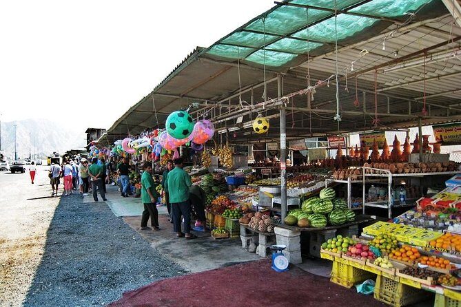 East Coast Dibba & Fujairah Day Trip with Lunch from Dubai - What Travelers Say