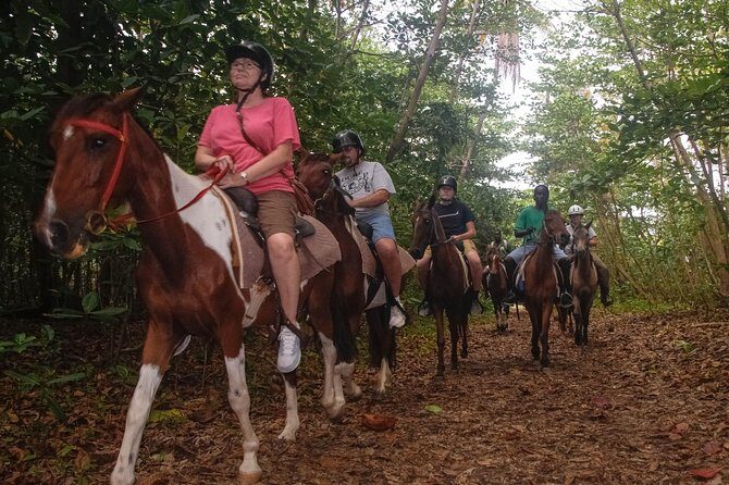 East Coast Horseback Riding & Waterfall Excursion - A Detailed Look at the Tour Experience