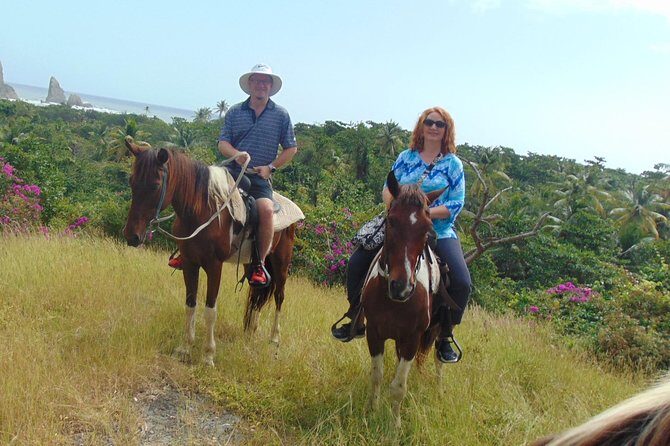 East Coast Horseback Riding & Waterfall Excursion - Who Is This Tour Best For?