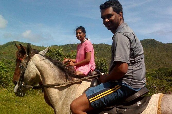 East Coast Horseback Riding & Waterfall Excursion - The Sum Up