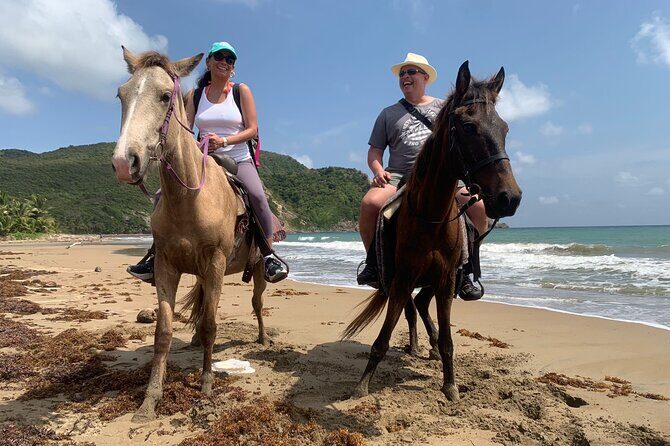East Coast Horseback Riding, Waterfall & Soufriere Private Tour - Exploring the Day in Detail