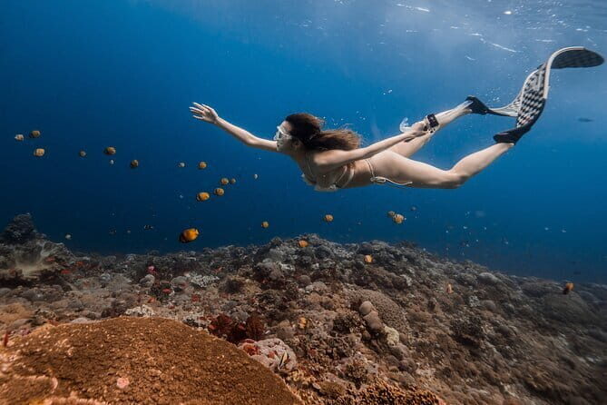 East Coast of Nusa Penida Private Snorkeling - The Complete Nusa Penida Snorkeling Experience