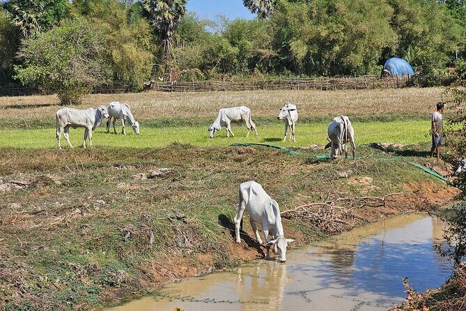 East Corner of Siem Reap - Roluos Group & Countryside - FAQ