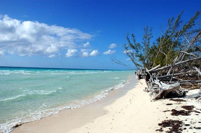 East End Private Day Trip Experience Tour - FAQ (Frequently Asked Questions)