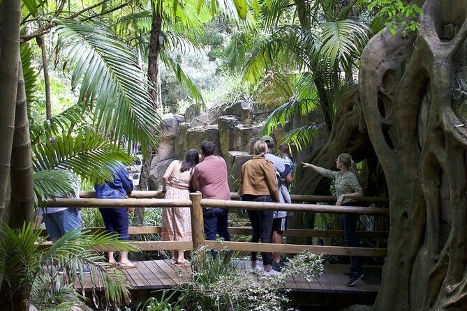 East Honiara Historic World War II Battlefields Tour - The Experience and Practical Details