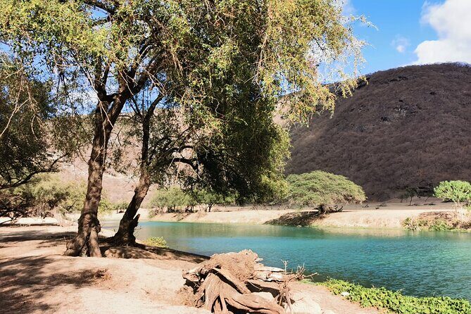 East Salalah Highlights: Half-Day Heritage & Scenic Countryside - The Sum Up: Who Benefits Most?