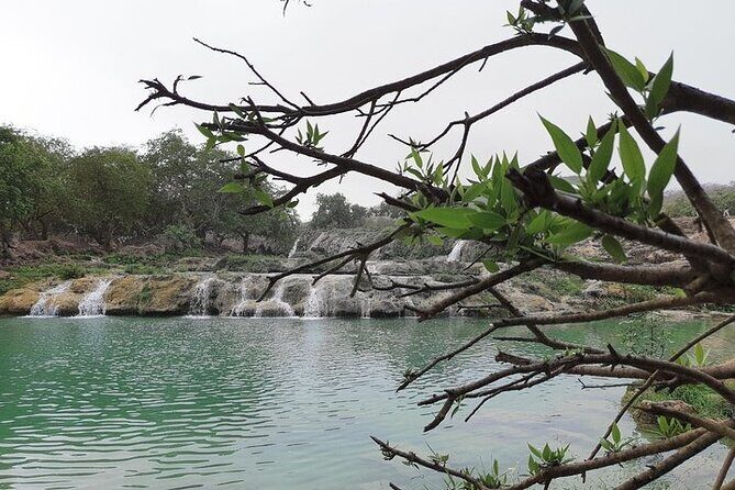 East Salalah Mountain Safari - What’s Included and What You Should Know