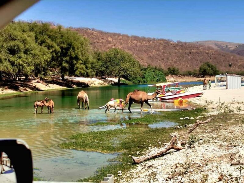East Salalah Tour by VisitSalalah - Key Points