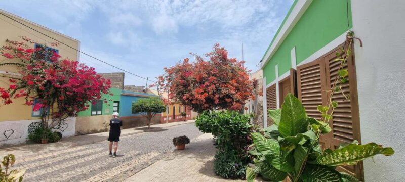East tour - lighthouse, turtle nature reserve, baobab tree ... - Exploring Boa Vistas East Coast: A Tour That Offers Authentic Cape Verdean Charm