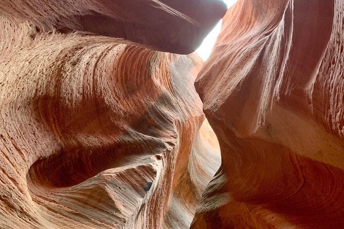 East Zion 4 Hour Slot Canyon Canyoneering UTV Tour - Pricing and Value