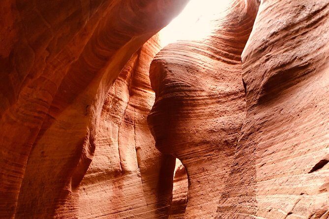 East Zion 4 Hour Slot Canyon Canyoneering UTV Tour - Real Experiences from Participants