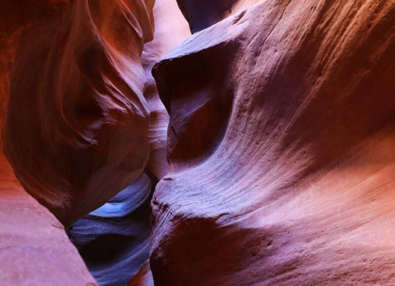 East Zion: Crimson Slot Canyon Exploration and UTV Tour - Who Should Consider This Tour?