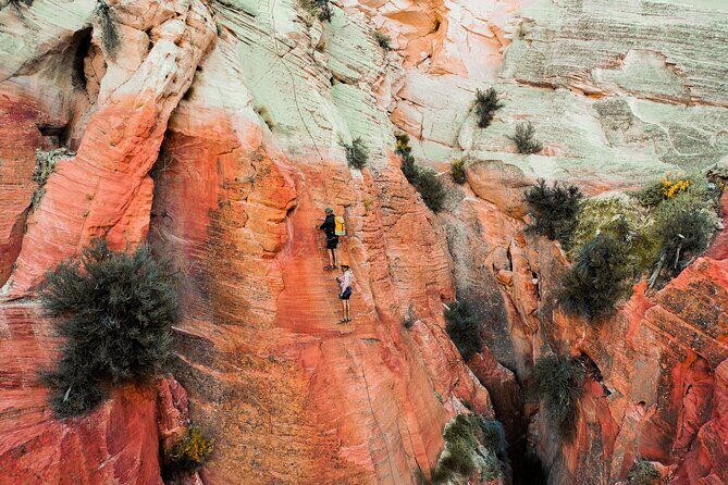 East Zion Elk Heart Cliffs Via Ferrata and Rappelling (3Hr) - A Closer Look at the Experience