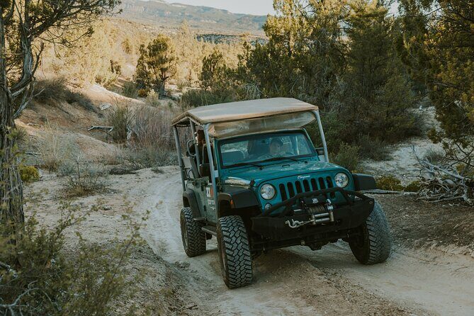 East Zion Top of the World Jeep Tour - The Practical Aspects: Transportation, Price, and Group Size