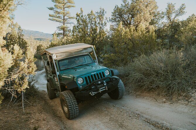 East Zion Top of the World Jeep Tour - Authentic Feedback from Travelers