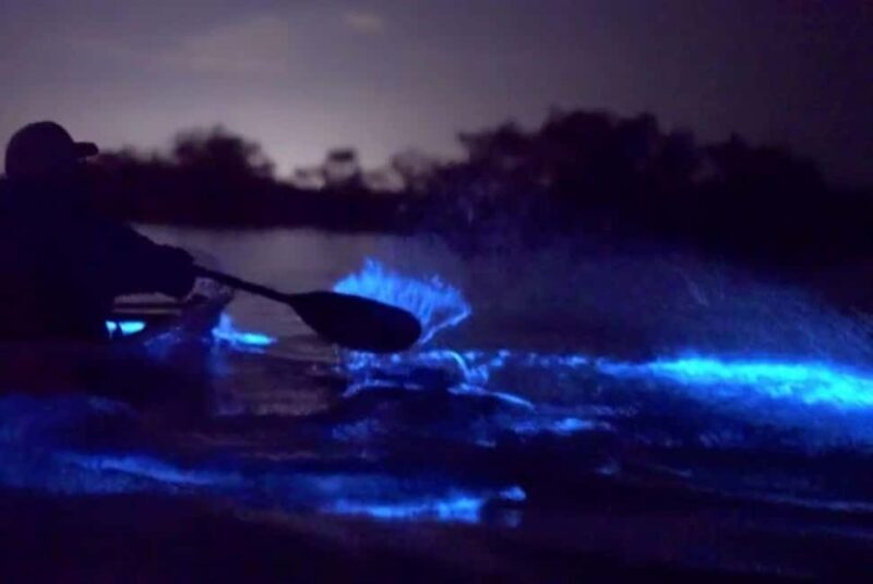 Eastsound: Orcas Island Bioluminescent Kayak Tour - An Enchanting Evening on Orcas Island