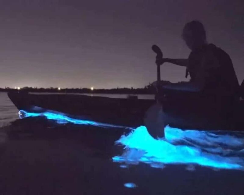 Eastsound: Orcas Island Bioluminescent Kayak Tour - A Deep Dive into the Itinerary
