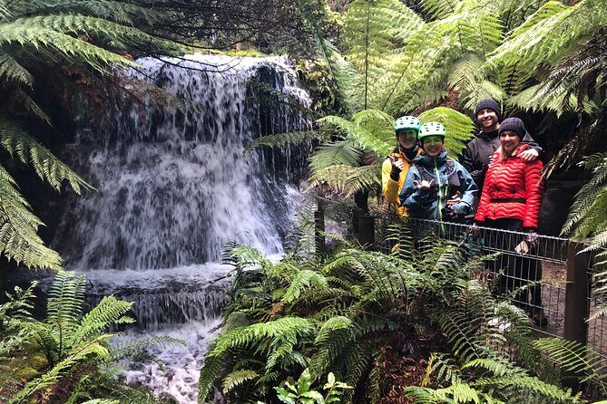 Easy Bike Tour - Mt Wellington Summit Descent & Rainforest Ride - Key Points