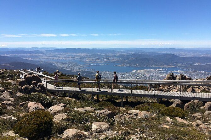 Easy Bike Tour - Mt Wellington Summit Descent & Rainforest Ride - Price and Value