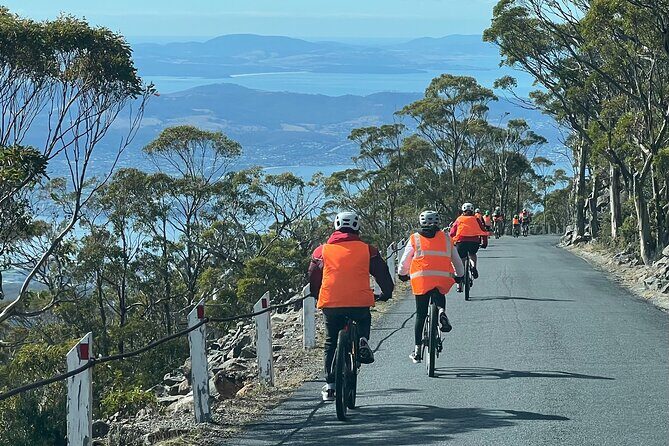 Easy Bike Tour - Mt Wellington Summit Descent & Rainforest Ride - Who Will Love This Tour?