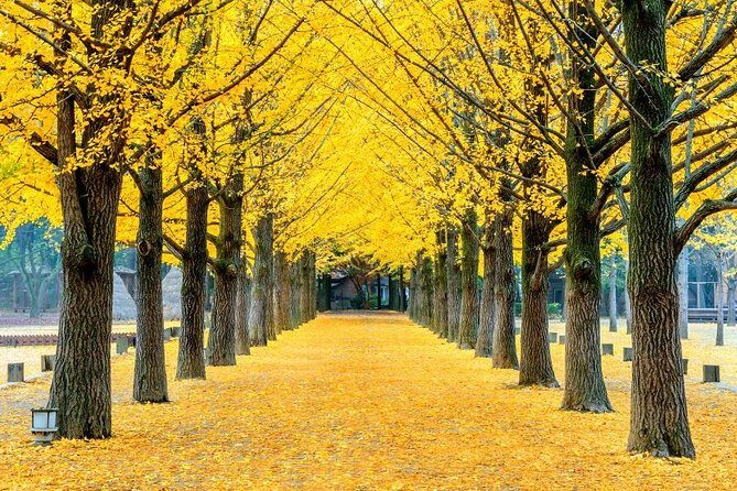 Easy private tour to Nami Island, Garden of Morning Calm - Transportation and Duration