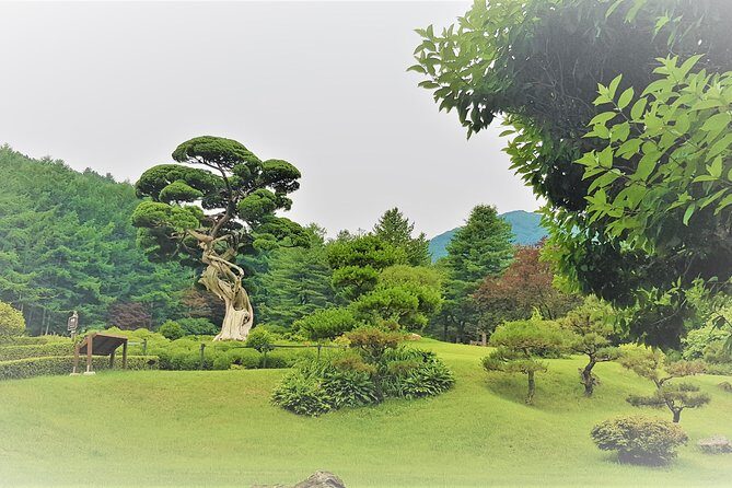 Easy private tour to Nami Island, Garden of Morning Calm - Who Is This Tour Best For?