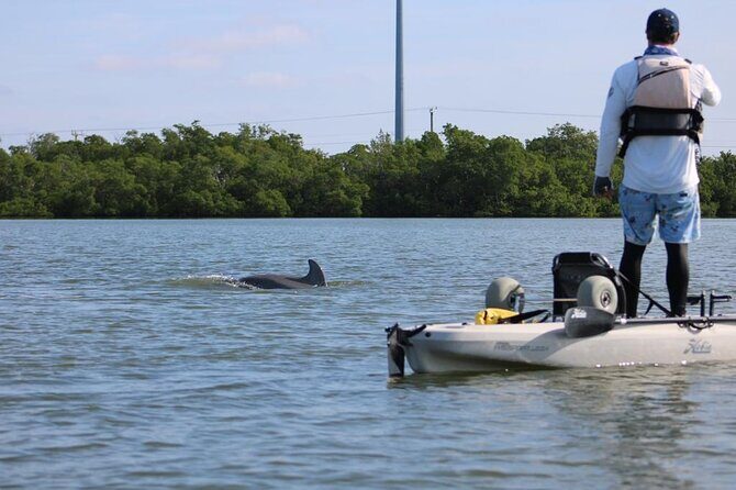 Easy Ride Pedal Kayak Tour Marco Island & Naples (Pedal or Paddle - The Sum Up